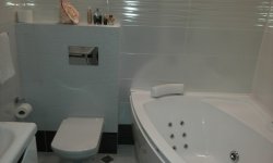 Ванная комната, совмещенная с туалетом: преимущества и особенности