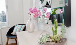 Какую роль играют комнатные растения в интерьере вашей квартиры