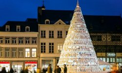 Фарфоровая новогодняя елка в Бельгии от агенства Mooz