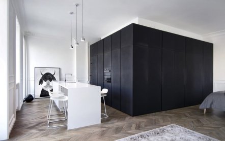 Однушка на 56 квадратов в Москве