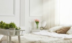 Цветы и растения для здорового сна в спальне