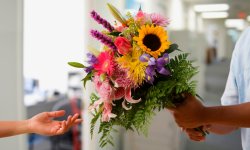Бесплатная дневная доставка цветов в Омске: лучший вариант, чтобы порадовать близкого человека