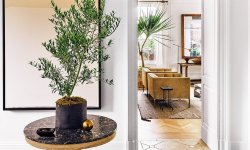 5 правил декорирования квартиры растениями