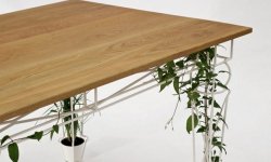 Plantable – взаимодействие с природой от JAILmake Studio