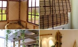 5 способов применения бамбука для украшения квартиры