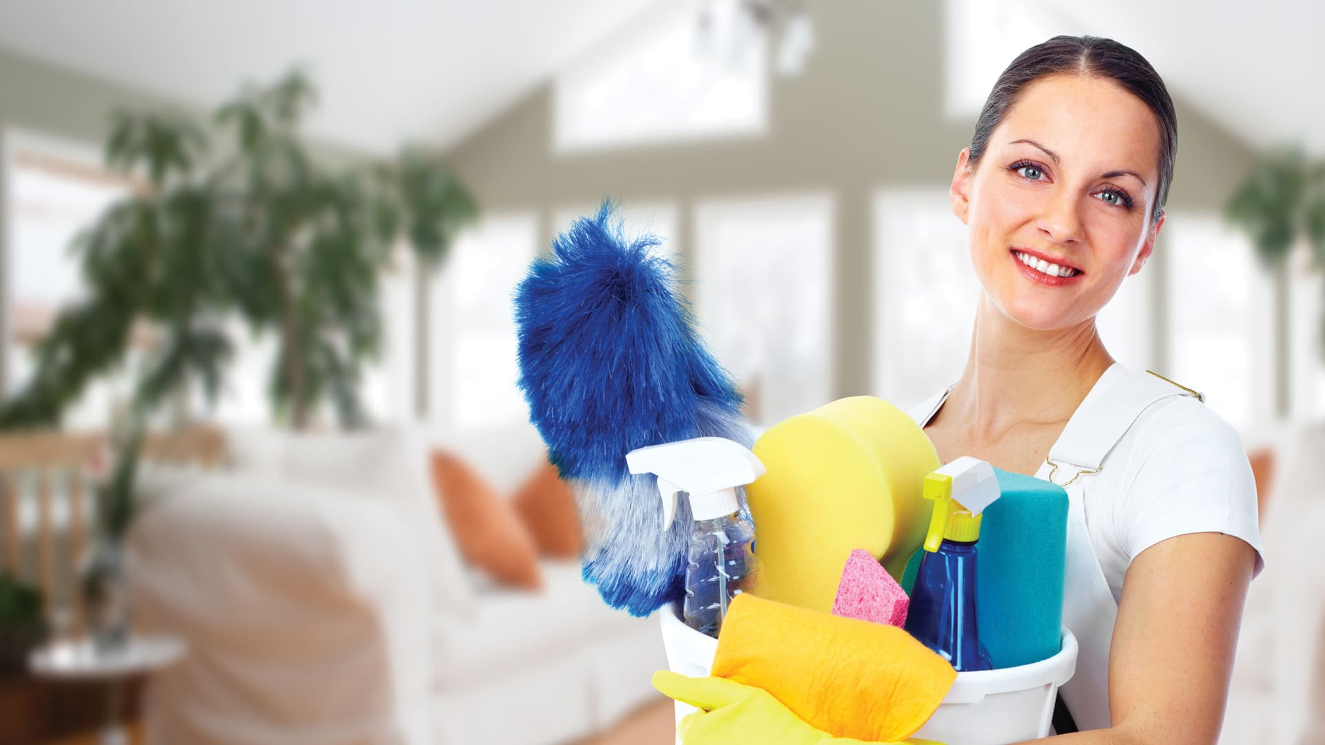 Предметы первой необходимости для уборки в доме_3