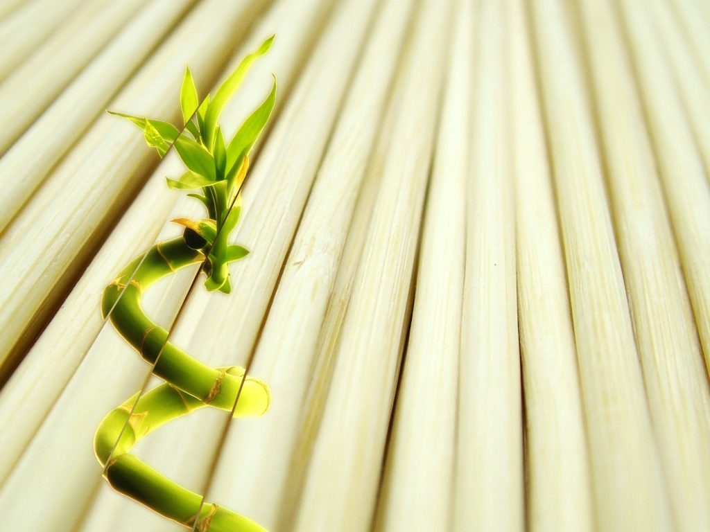 Что такое бамбуковые обои и в чем их особенность